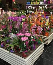 Carrément Fleurs - Fleuriste Carpentras 84 - Livraison de fleurs à domicile image 4