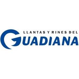 Llantas y Rines del Guadiana Suc. Domingo Arrieta
