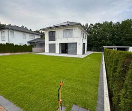 Lumi Garten- und Landschaftsbau - Gartengestaltung, Pflasterarbeiten & Pflege Bild 11