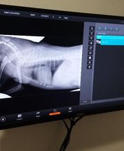 Vétérinaire de Redoute image 5