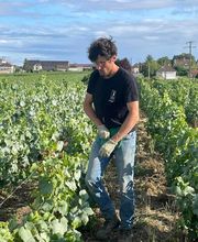 Waris Larmandier EARL image 18