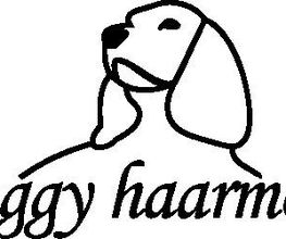 Doggy Haarmode