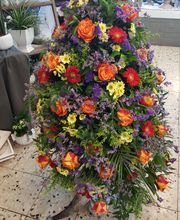 Blumen Antons Inh. Bianca Hermanns Bild 1