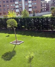 Jardinería FG imagen 16