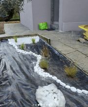 Vivai San Martino Bild 5