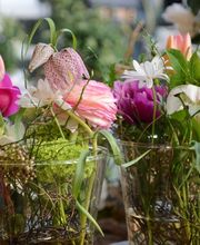 Sommerer & Co Bild 4