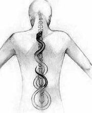 Camille Quaziz image 3