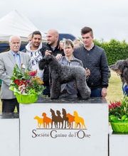 Association Canine Territoriale de l'Oise image 1