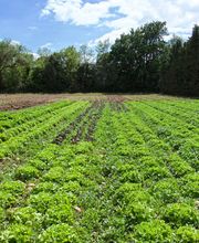 Les Paniers De José image 2