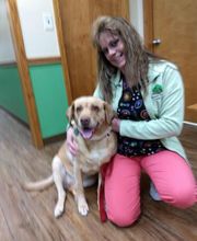 Western Reserve Animal Clinic image 14