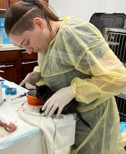 Westerville Veterinary Clinic image 12