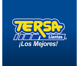 TERSA Llantas Patria imagen 5