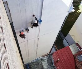 alman6.jpg