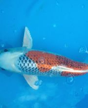 Zoowelt Bechtheim Bild 4