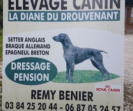 Bénier Rémy image 2