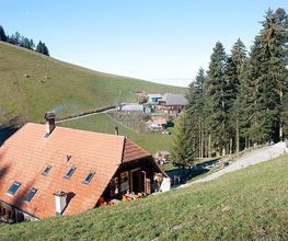 Waldrand Beizli Bild 3