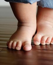 Hobak Frick AG Bild 1