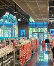 Rack Room Shoes image 12