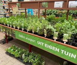 Intratuin Rhoon afbeelding 13