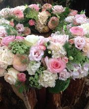 Schaufelbühl AG Blumen und Accessoires, Gartengestaltung Bild 11