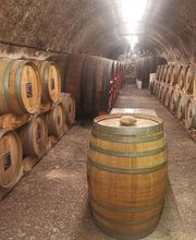 Caves Jamet SARL image 4