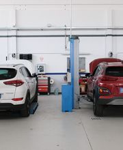 Gallery Professionale