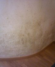 Malermeister Wilhelm GmbH Bild 5