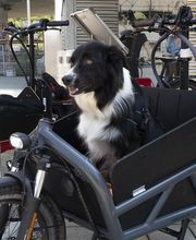 Kocher Bike Bern | Riese & Müller Erlebnis-Store | Verkauf & Service Bild 11