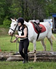 Centre Hippique la Jumenterie image 3