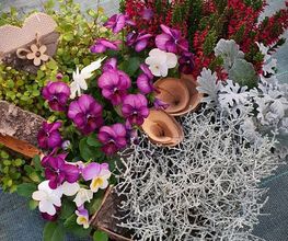 Rambert Fleurs image 13