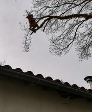 Arbroservice image 11