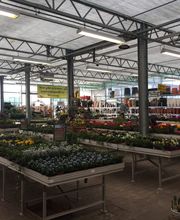 Pirig Gartencenter Bild 9