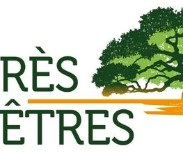 Cyprès des Hêtres image 3