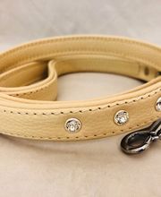 dogsland GmbH Bild 14