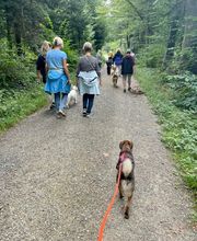 4happypets.ch, Inhaberin Schön Bild 11