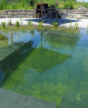 Naturag Gartenbau AG Bild 4