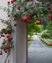 Klinik Schloss Mammern AG Bild 6
