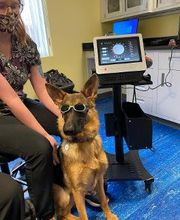 Williamsport West Veterinary Hospital image 11