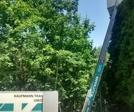 Kaufmann Transporte Bild 9