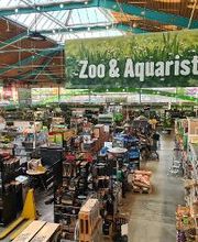 HORNBACH Gartencenter Wolfsburg Bild 2