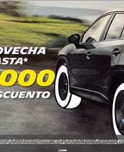 Michelin Car Service- Agencia Llantera Teofilo Borunda imagen 5