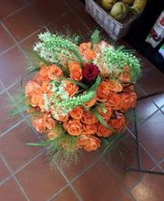 Blumen Fröschel Bild 5