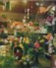 Gärtnerei Constantinescu Bild 9