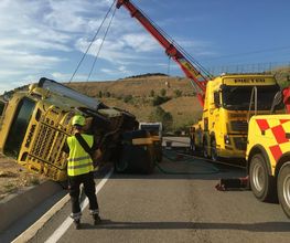 Pietri Poids Lourds image 5