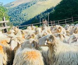 La Ferme Bidalot image 2