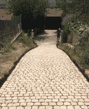 Müller Gartengestaltung GmbH Bild 5