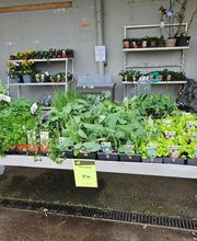 Point Vert Valcadis image 8