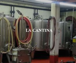 Cantina Böscioro Bild 5