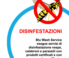Piddini Wash Bild 4