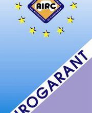 Gundeli Carrosserie AG Bild 10